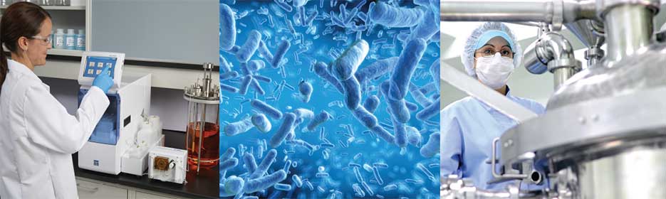 bioprocessing