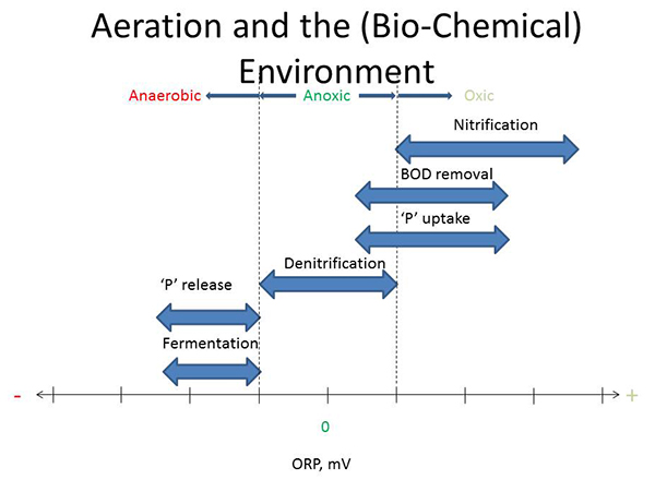 Activated Sludge Troubleshooting Chart