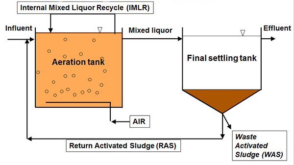 Wastewater Bacteria Chart