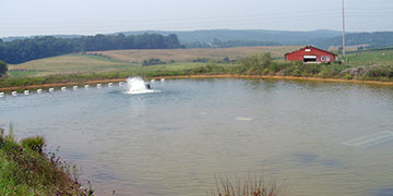 Pond Based Aquaculture | Dissolved Oxygen Management and Related Costs
