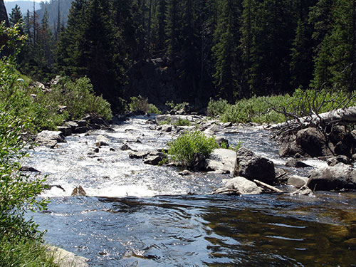 River-Through-Mountainous-Forest.jpg