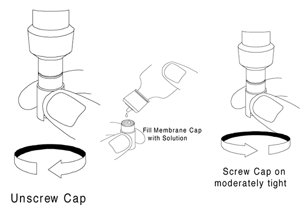 Orp Ppm Conversion Chart