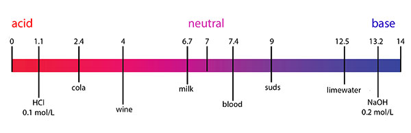 Blank Ph Scale Chart