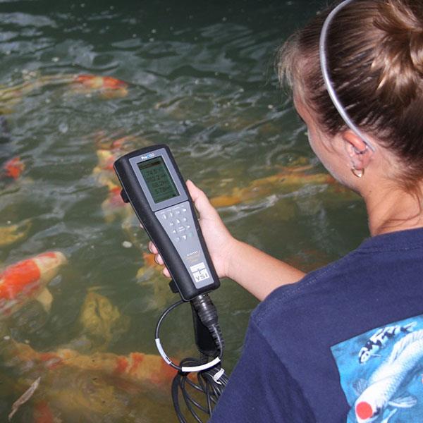 Optical Dissolved Oxygen Digital Handheld Instrument