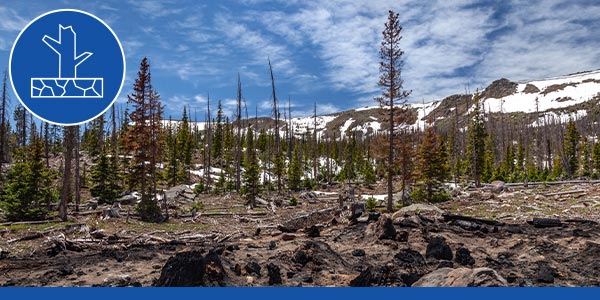 flood conditions wildfire soil hydrophobic