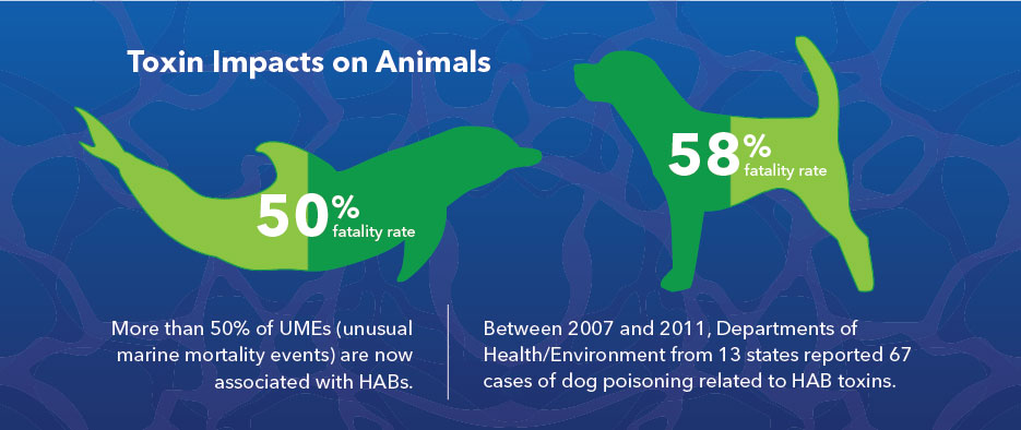 harmful algal blooms toxins