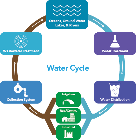 water cycle diagram