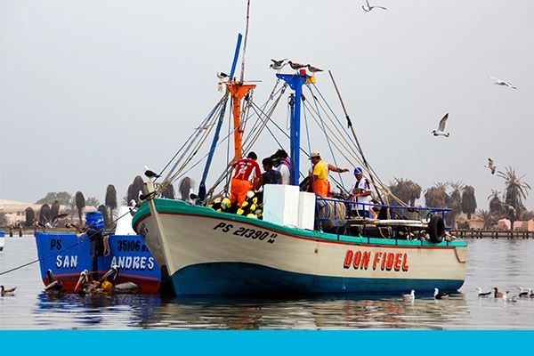 Peruvian fishing boat