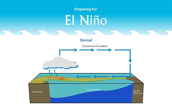 An image of how the thermocline and surface water behave in the neutral phase of ENSO. Winds blow west across the Pacific, pushing warm water away from the coast of South America. This allows for upwelling to occur.