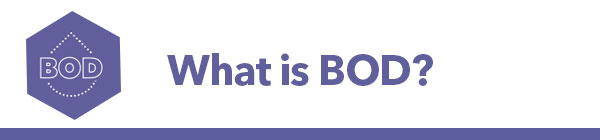 What is BOD?