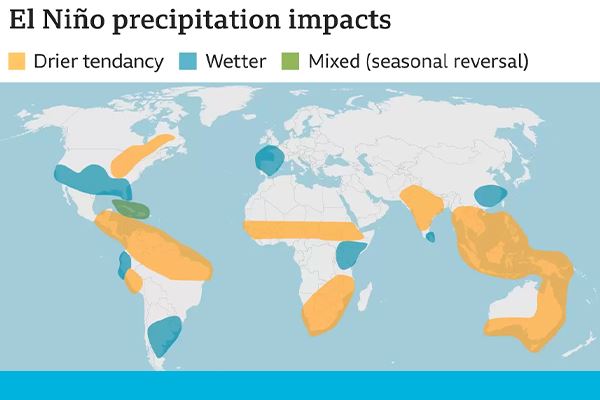 Similar to the North American map, precipitation is globally impacted differently when in El Niño.7