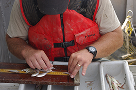 A630-Worker-with-Fish.jpg