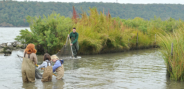 A631-Kids-Seining.jpg