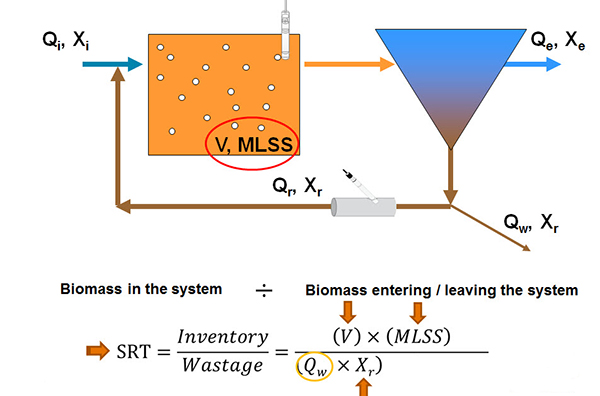 Activated-Sludge-Age-MCRT-SRT-CRT.jpg