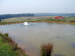 Aerator-in-Aquaculture-Pond.jpg