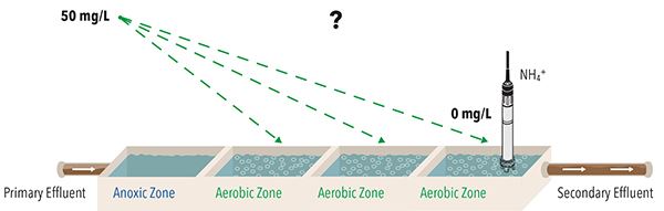 Ammonium Sensor Placement in Effluent of Aeration Basin | YSI | IQSN