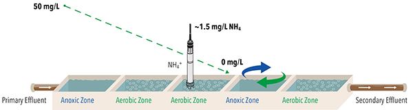 Ammonium Sensor Placement in Wastewater | YSI | IQSN