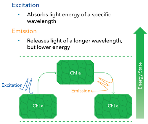 Are-You-Ready-for-HAB-Excitation-vs-Emission.jpg