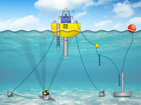 Buoy System Illustration with No Words