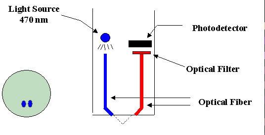 Chlorophyll-Probe-Diagram.jpg