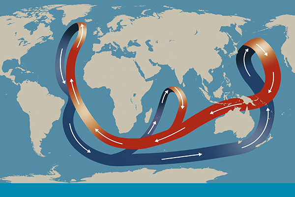 Thermohaline circulation (THC) ,Conveyor belt