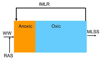 Denitrification-Figure-1-Flow-Diagram.jpg