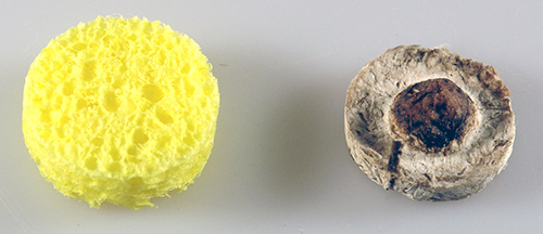 Dissolved-Oxygen-Clean-vs-Dirty-Sponge-Towel.jpg