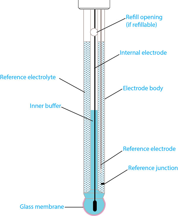 پروب pH | الکترود pH | آناتومی الکترودهای pH