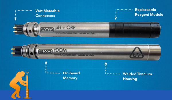 Water quality sonde sensors