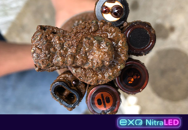 EXO-NitraLED-Storm-biofouling