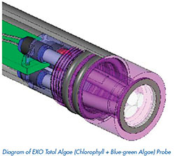 EXO-Total-Algae-Sensor.jpg