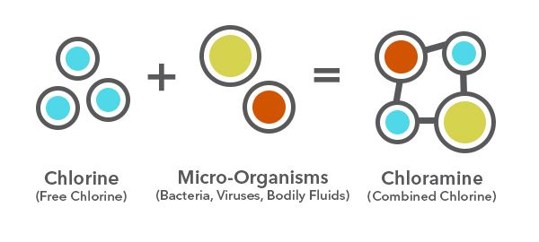 Chloramine Compounds form from the reaction of free chlorine and micro-organisms | YSI