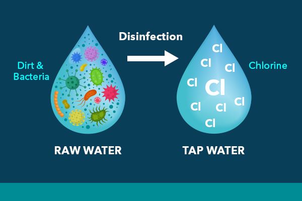 Chlorine Disinfection | Raw Water vs Tap Water | YSI