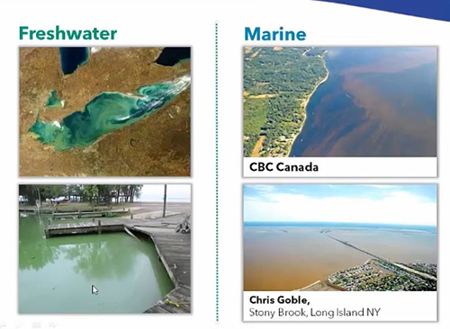 Harmful Algal Bloom Monitoring