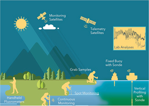 HAB-Webinar-Part1-Monitoring-and-Sampling.jpg