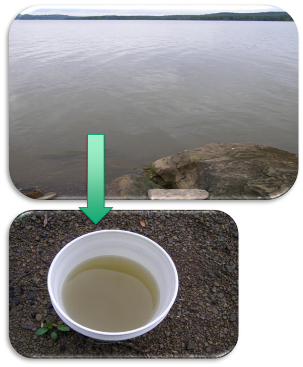 Harmful Algal Bloom Water Quality