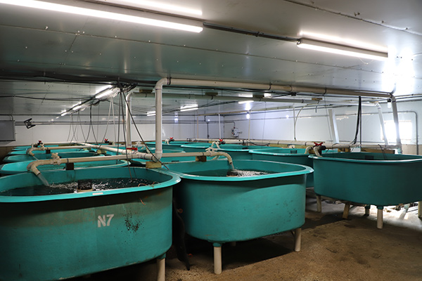 Hanilu Farms RAS Aquaculture | 5500D | YSI