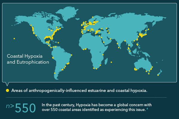 Hypoxia-Blog-Image-3.jpg