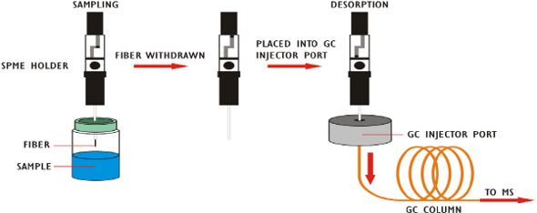 Geosmin and MIB Method Diagram