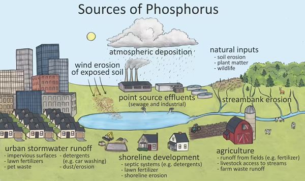 Sources of Phosphorus in a Water Body