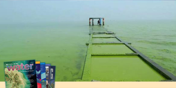 Lake Taihu Green Water Washing Over Dock