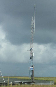 LUMCON-2.jpg