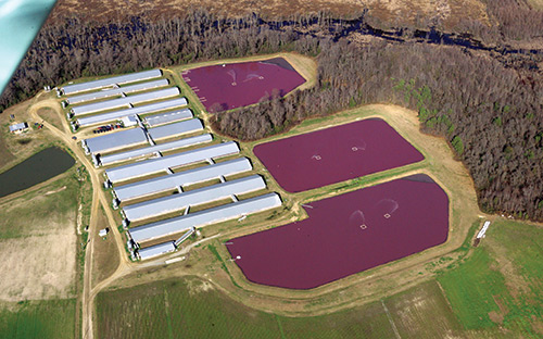 Mission-Water-CAFO-Waterkeeper-Alliance-Swine-Aerial.jpg