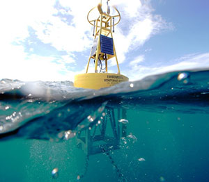 Monitoring-Coral-Reefs-in-the-Carribean-buoy.jpg