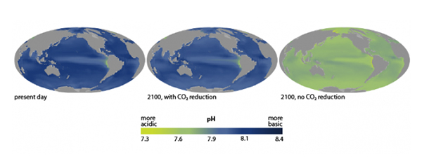 CO2 Predicted Change in the Oceans | Ocean Acidification | YSI