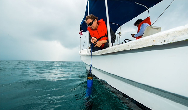 EXO2 Sonde Water Quality Ocean Testing | Ocean Acidification | YSI