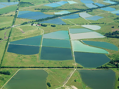 Overhead-Aquaculture-Ponds.jpg