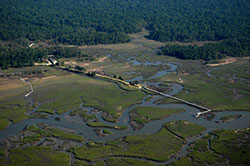 Oyster-Landing-fDOM.jpg