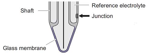 pH-12-Tips-TruLine-1x-junction-locations_1.jpg