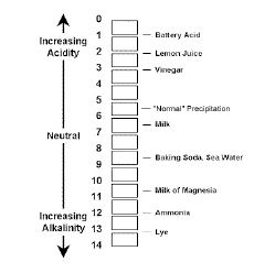 pH-Classroom-Scale.jpg